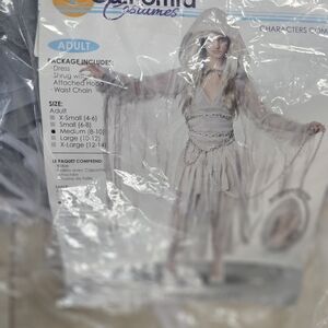 Haunting Beauty Silver Hooded Ensemble with Chains